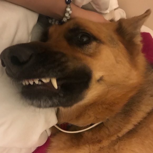 Make your offer ❤️ - Picture 3 of 4